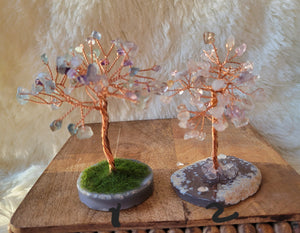 money crystal tree Gemstone Tree, Crystal Tree, Money Tree, Lucky Tree, Fortune Tree, Tre – Moon Crystals Cure