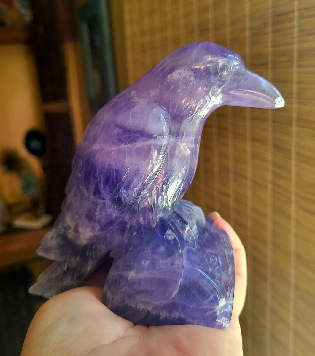 Indigo Fluorite Raven, Crow, Crystal Carving with beautiful Banding, G ...